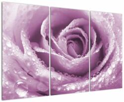 Mivali Tablou detaliu de floare de trandafir, din trei bucăți 120x80 cm (V022116V120803PCS)