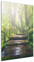 Mivali Tablou - trepte din lemn în pădure, dintr-o bucată 60x90 cm (V020593V6090)