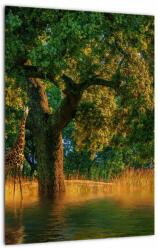 Mivali Tablou cu girafe în natură, dintr-o bucată 30x40 cm (V020841V3040)