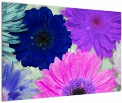 Mivali Tablou cu flori colorate, dintr-o bucată 90x60 cm (V020394V9060)