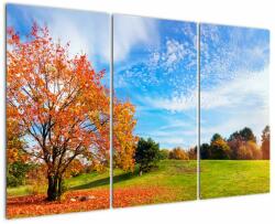 Mivali Tablou - Peisaj de toamnă, din trei bucăți 120x80 cm (V022539V120803PCS)