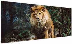 Mivali Tablou cu leu în natură, dintr-o bucată 250x125 cm (V020176V250125)