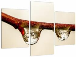 Mivali Tablou cu picături de apă pe creangă, din trei bucăți 90x60 cm (V020531V90603PCS)