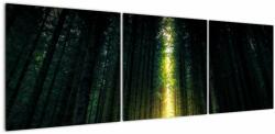 Mivali Tablou cu pădurea întunecată, din trei bucăți 150x50 cm (V020705V15050)