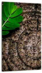 Mivali Tablou cu frunză pe trunchi de copac, dintr-o bucată 20x30 cm (V020813V2030)