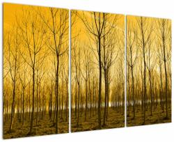 Mivali Tablou - Palntație cu pomi, din trei bucăți 120x80 cm (V021313V120803PCS)