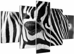 Mivali Tablou cu zebră, din cinci bucăți 150x105 cm (V020518V150105)