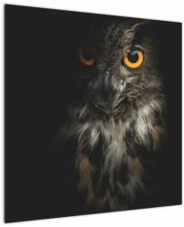 Mivali Tablou cu bufnița, dintr-o bucată 70x70 cm (V020966V7070)