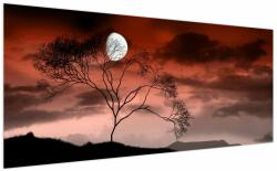 Mivali Tablou - Luna luminează noaptea, dintr-o bucată 200x100 cm (V021931V200100)
