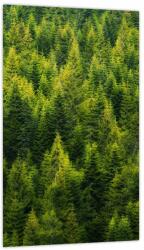Mivali Tablou - Pădure deasă, dintr-o bucată 20x30 cm (V023761V2030)