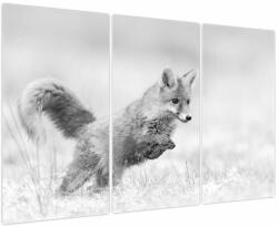 Mivali Tablou - Vulpe care sare, alb-negru, din trei bucăți 120x80 cm (V024128V120803PCS)