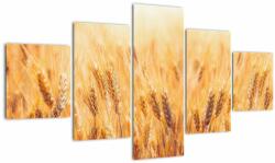 Mivali Tablou - câmp cu grâne, din cinci bucăți 125x70 cm (V022021V12570)