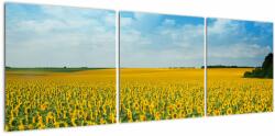 Mivali Tablou - câmp cu floarea soarelui, din trei bucăți 120x40 cm (V020250V12040)