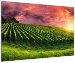 Mivali Tablou cu vie cu cerul color, dintr-o bucată 90x60 cm (V020336V9060)