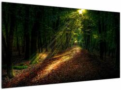 Mivali Tablou cu poteca prin pădure, dintr-o bucată 120x70 cm (V020253V12070)