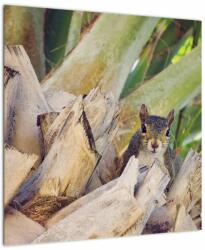 Mivali Tablou cu veverița în copaci, dintr-o bucată 50x50 cm (V021177V5050)