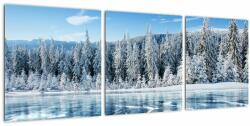 Mivali Tablou cu lacul înghețat și copacii înzăpeziți, din trei bucăți 90x30 cm (V021299V9030)