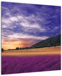 Mivali Tablou cu lunca cu lavandă, dintr-o bucată 50x50 cm (V022156V5050)