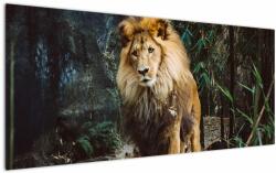 Mivali Tablou cu leu în natură, dintr-o bucată 120x50 cm (V020176V12050)