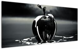 Mivali Tablou cu mărul negru, dintr-o bucată 120x50 cm (V021233V12050)