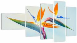 Mivali Tablou cu floarea Strelicie, din cinci bucăți 110x60 cm (V021628V11060)
