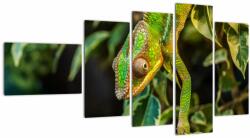 Mivali Tablou cu cameleon, din cinci bucăți 110x60 cm (V021236V11060)