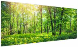 Mivali Tablou - Pădurea cu frunze de primăvară, dintr-o bucată 250x125 cm (V022101V250125)