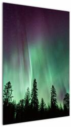 Mivali Tablou cu Northern Lights, dintr-o bucată 60x90 cm (V021103V6090)