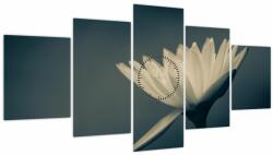 Mivali Tablou cu flori (cu ceas), din cinci bucăți 150x80 cm cu ceas (V021223V15080C)