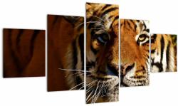 Mivali Tablou cu tigrul, din cinci bucăți 125x70 cm (V021272V12570)