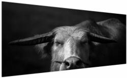 Mivali Tablou - Vacă, dintr-o bucată 250x125 cm (V023917V250125)