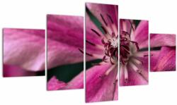 Mivali Tablou cu floarea roz de clematis, din cinci bucăți 125x70 cm (V021607V12570)