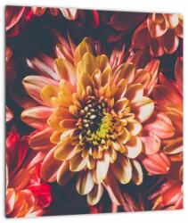 Mivali Tablou - Crizantemă, dintr-o bucată 30x30 cm (V022678V3030)