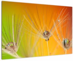 Mivali Tablou cu picături pe plantă, dintr-o bucată 90x60 cm (V020469V9060)