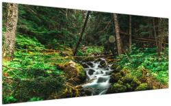 Mivali Tablou cu pârău în pădure, dintr-o bucată 200x100 cm (V021218V200100)