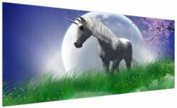 Mivali Tablou cu unicorn, dintr-o bucată 250x125 cm (V021168V250125)