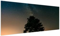 Mivali Tablou cu cerul nocturn și copaci, dintr-o bucată 250x125 cm (V020879V250125)
