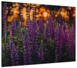 Mivali Tablou pe sticlă - Flori de lupin, dintr-o bucată 70x50 cm pe sticlă (V022614V7050GD)