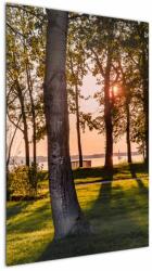 Mivali Tablou cu pomi lângă lac, dintr-o bucată 60x90 cm (V020839V6090)