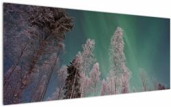 Mivali Tablou cu aurora borealis deasupra pomilor înghețați, dintr-o bucată 120x50 cm (V021684V12050)
