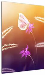 Mivali Tablou - Fluture roz, dintr-o bucată 50x70 cm (V022365V5070)