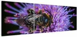 Mivali Tablou cu albina pe floare, din trei bucăți 150x50 cm (V020419V15050)