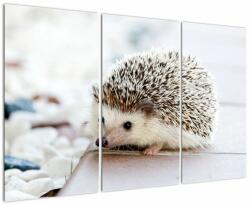 Mivali Tablou cu arici, din trei bucăți 120x80 cm (V020368V120803PCS)