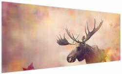 Mivali Tablou - Pădure în frunze de toamnă, dintr-o bucată 250x125 cm (V022851V250125)