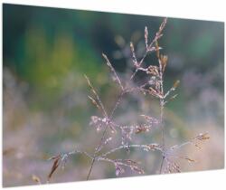 Mivali Tablou - Detaliu timp, dintr-o bucată 90x60 cm (V024034V9060)