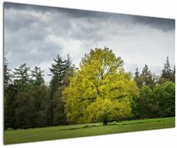 Mivali Tablou - Copac verde în câmp, dintr-o bucată 120x80 cm (V022540V12080)