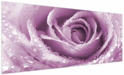 Mivali Tablou detaliu de floare de trandafir, dintr-o bucată 250x125 cm (V022116V250125)