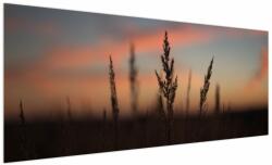 Mivali Tablou - Silueta plantei, dintr-o bucată 250x125 cm (V022647V250125)