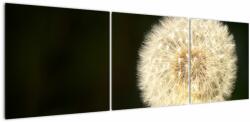 Mivali Tablou cu păpădie gri, din trei bucăți 150x50 cm (V020452V15050)