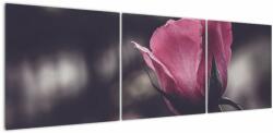 Mivali Tablou - Detaliu florii de trandafir, din trei bucăți 150x50 cm (V022091V15050)